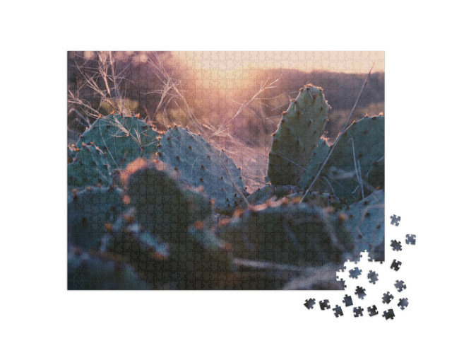 Puzzel 1000 stukjes „Cactusvijg in de Texaanse zonsondergang“