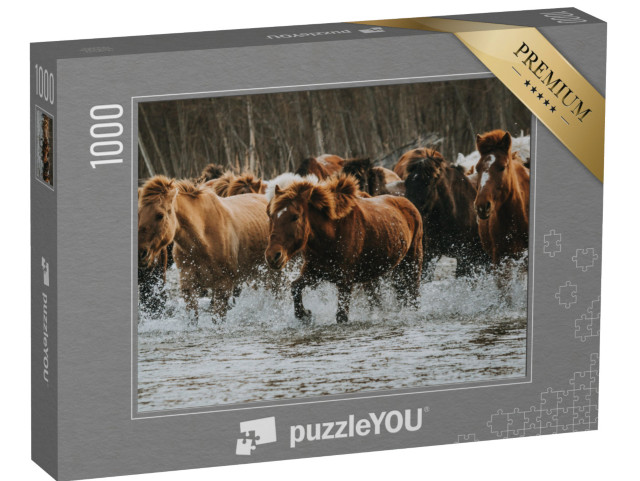 Puzzel 1000 stukjes „Grote groep bruine en witte paarden in een bosgebied in Mongolië“