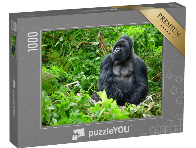 Puzzel 1000 stukjes „Zilverrug berggorilla in een regenwoud in Rwanda“