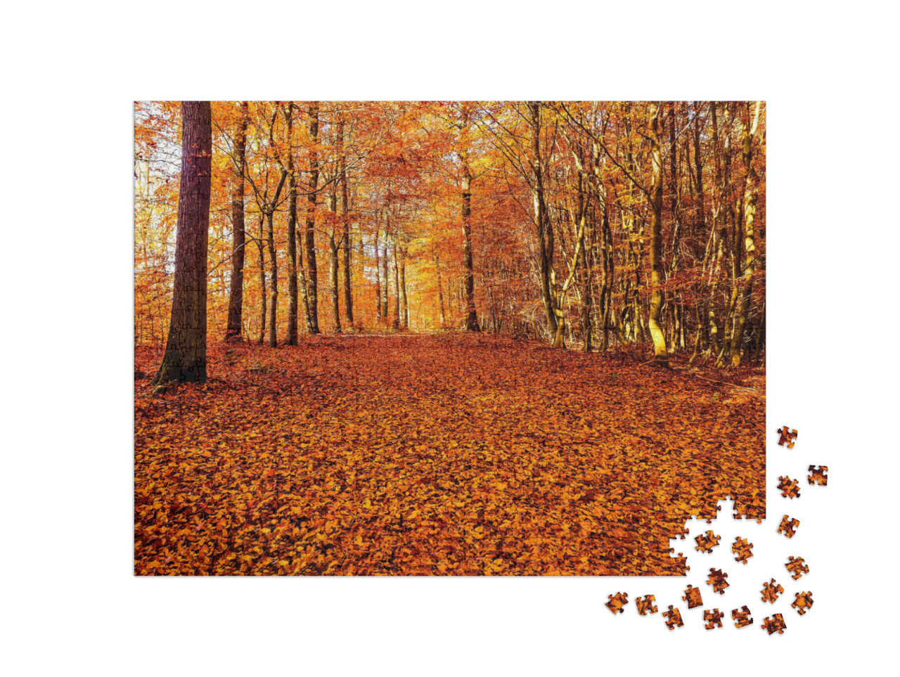 Puzzel 1000 stukjes „Een weg van herfstbladeren in het bos“