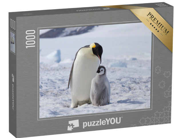 Puzzel 1000 stukjes „Een keizerspinguïn met zijn kuiken, Antarctica“
