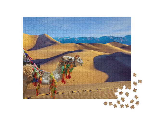 Puzzel 1000 stukjes „Eenbultige kameel, dromedaris“
