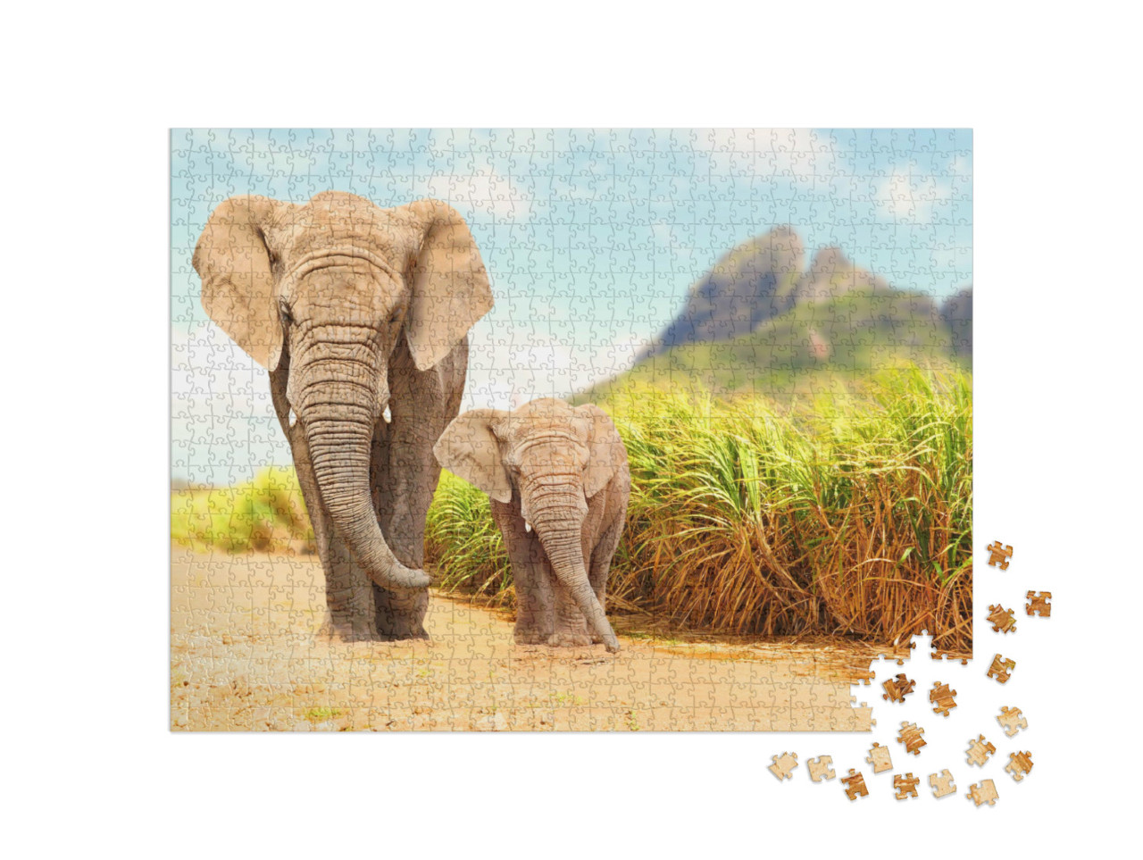 Puzzel 1000 stukjes „Afrikaanse bosolifanten, wildreservaat“