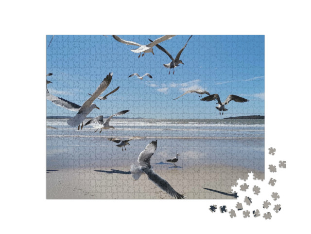 Puzzel 1000 stukjes „Zeemeeuwen aan de Marokkaanse zee“