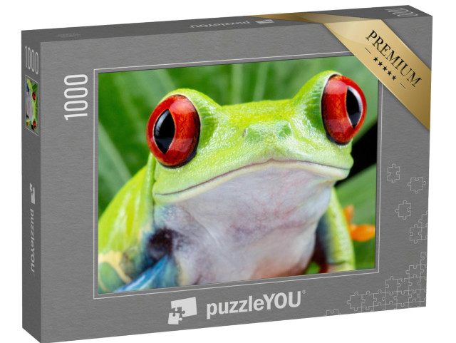 Puzzel 1000 stukjes „Roodoogmakikikker“