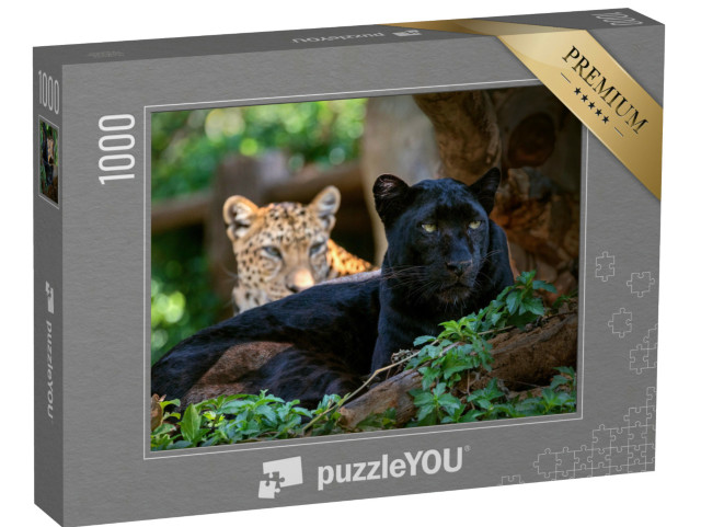 Puzzel 1000 stukjes „Luipaard of panter“