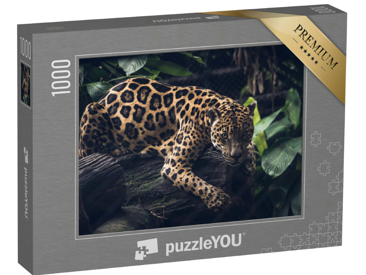 Puzzel 1000 stukjes „Jaguar, Panthera Onca“