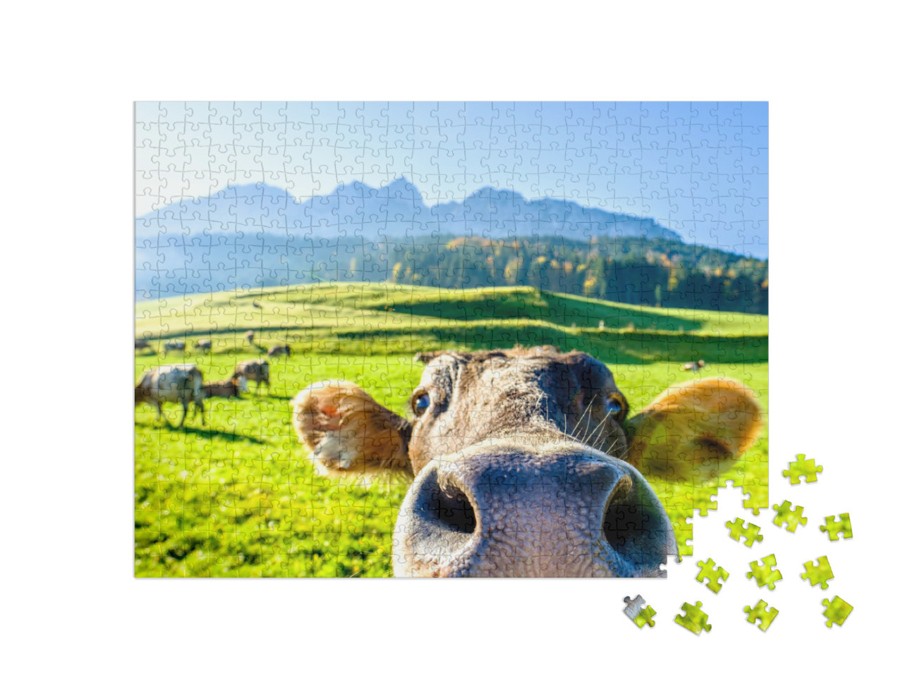 Puzzel 500 stukjes „Nieuwsgierige koe“