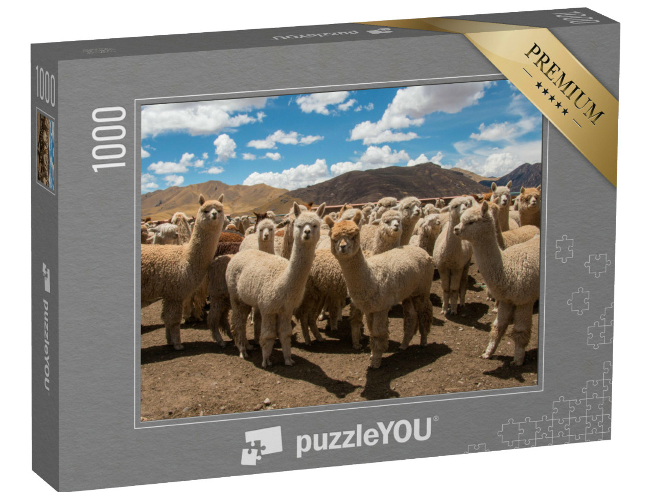 Puzzel 1000 stukjes „Grazende alpaca's bij Cusco, Andes, Peru“