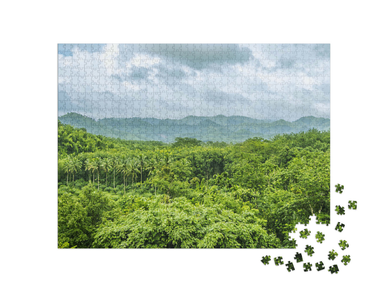 Puzzel 1000 stukjes „Regenwoud in het regenseizoen in Surat Thani, Thailand“