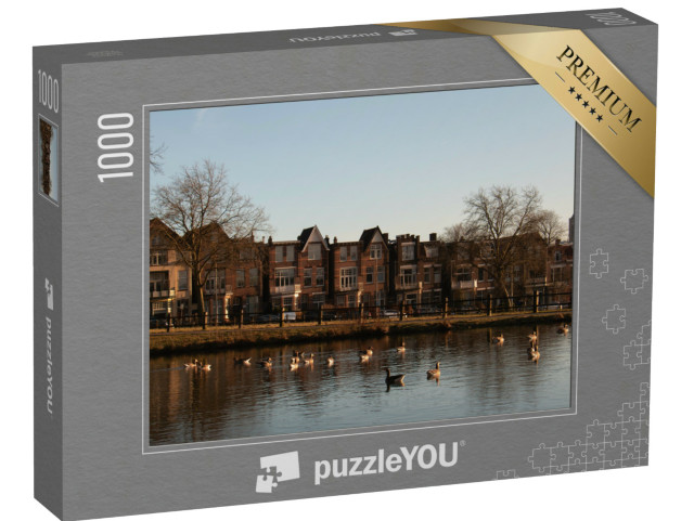 Puzzel 1000 stukjes „Oude typische huizen voor eenden en ganzen die zwemmen in het Sonsbeekpark in Arnhem“