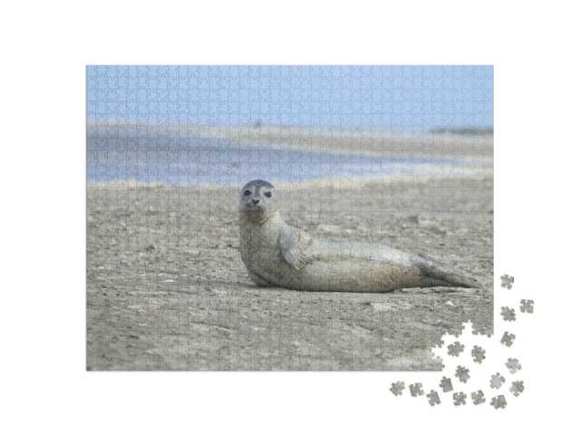 Puzzel 1000 stukjes „Een zeehond op het strand - Europa, Nederland, Schiermonnikoog“