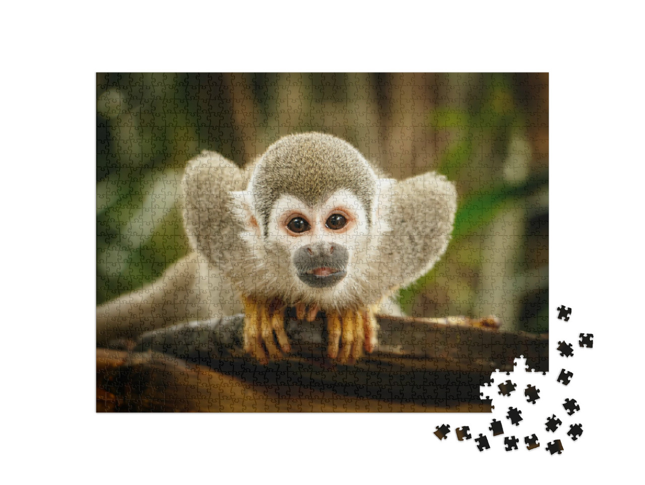 Puzzel 1000 stukjes „Doodshoofdaapjes in het Amazonegebied“