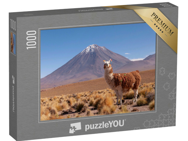 Puzzel 1000 stukjes „Lama, achter hem de vulkaan Licancabur op de grens tussen Bolivia en Chili“
