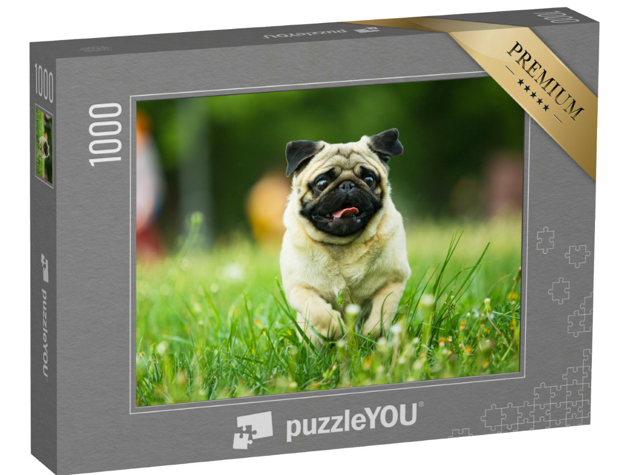 Puzzel 1000 stukjes „Mopshond met uitgestoken tong in een weiland“