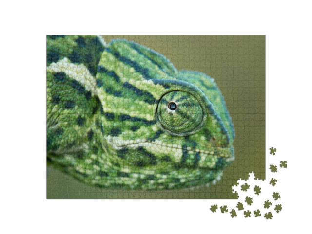 Puzzel 1000 stukjes „Een kameleon“