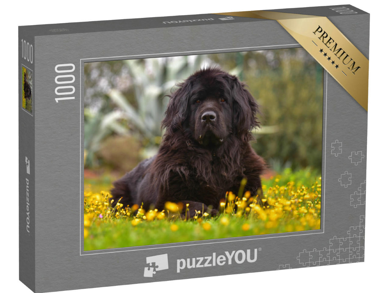 Puzzel 1000 stukjes „Prachtig Newfoundland“