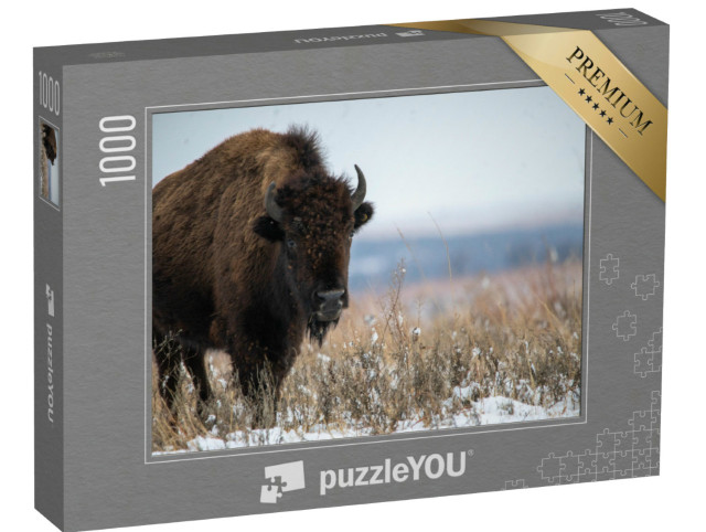 Puzzel 1000 stukjes „Oklahoma bizons na sneeuwval in december“