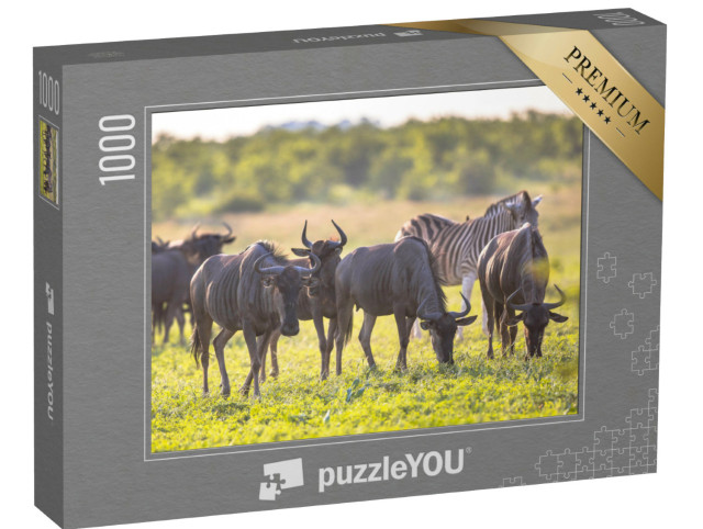 Puzzel 1000 stukjes „Gnoes grazen in de rivierbedding van Mooiplaas“