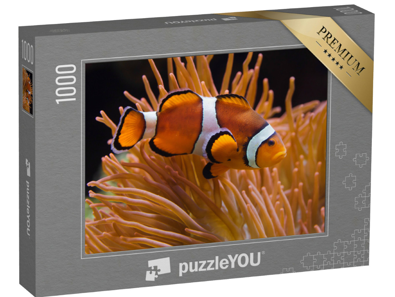 Puzzel 1000 stukjes „Ocellaris maanvis, Amphiprion ocellaris“