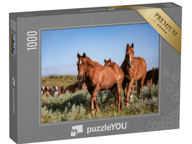 Puzzel 1000 stukjes „Kudde Amerikaanse Quarter Horse Ranch paarden, Montana“