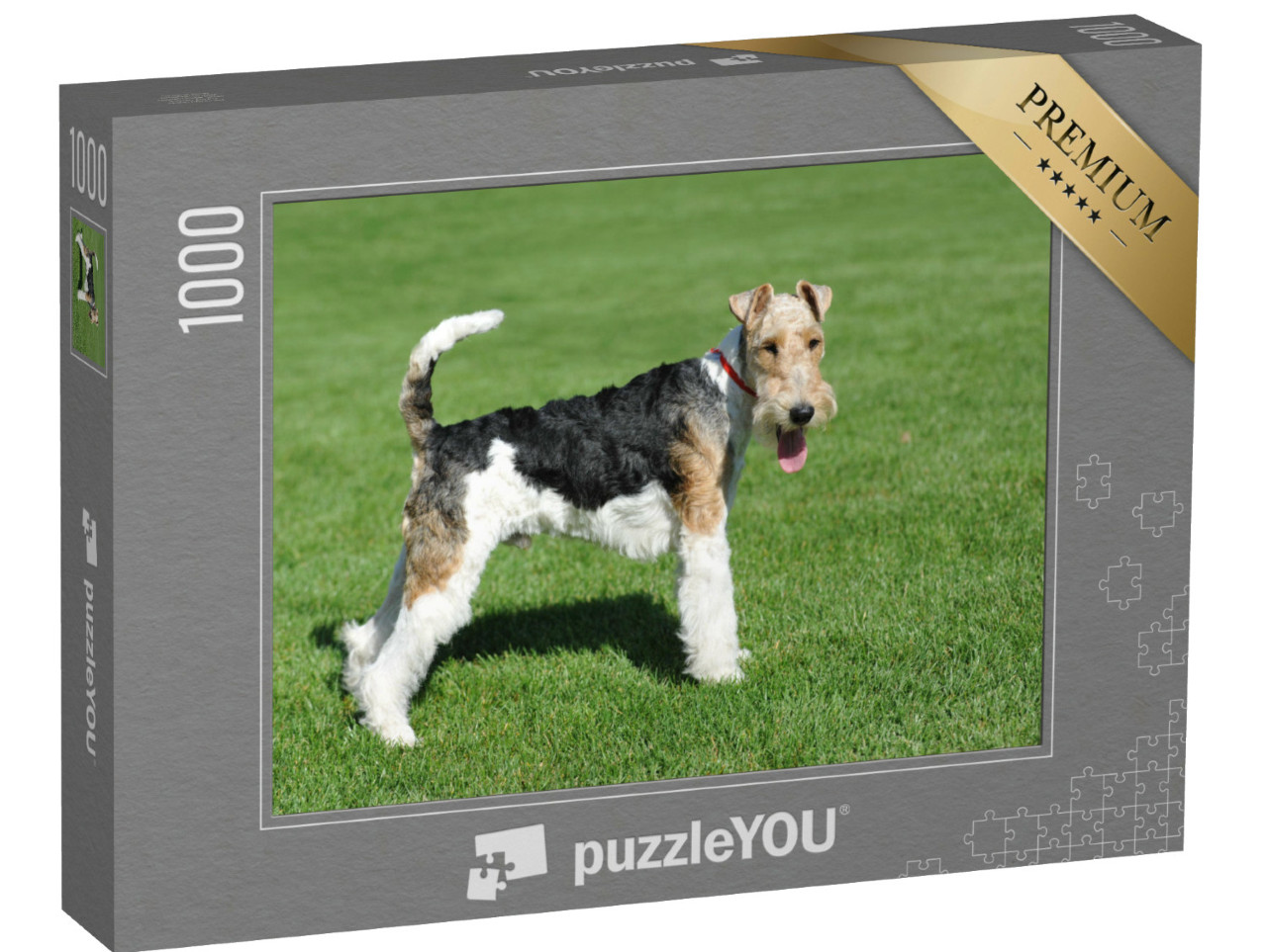 Puzzel 1000 stukjes „Draadharige Fox Terrier“