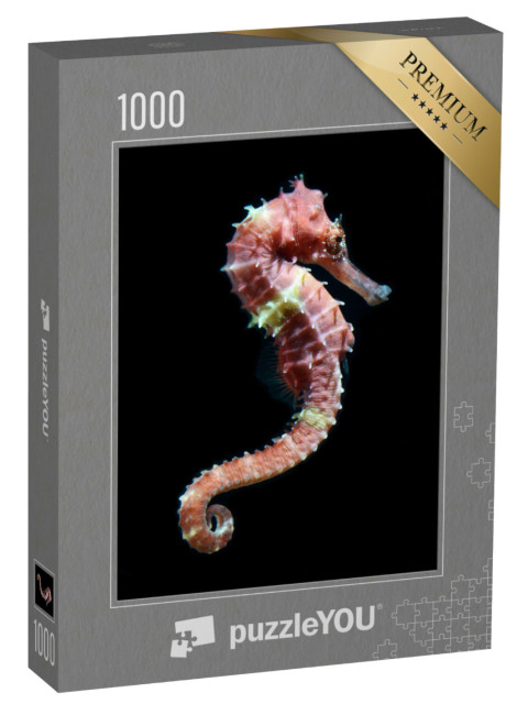 Puzzel 1000 stukjes „Zwemmend zeepaardje“