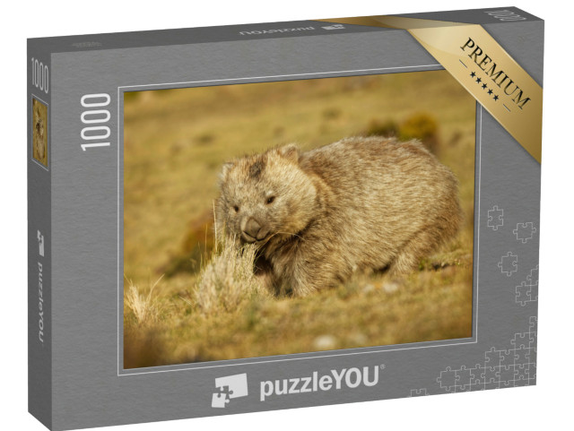 Puzzel 1000 stukjes „Wombat in Tasmanië bij nacht“
