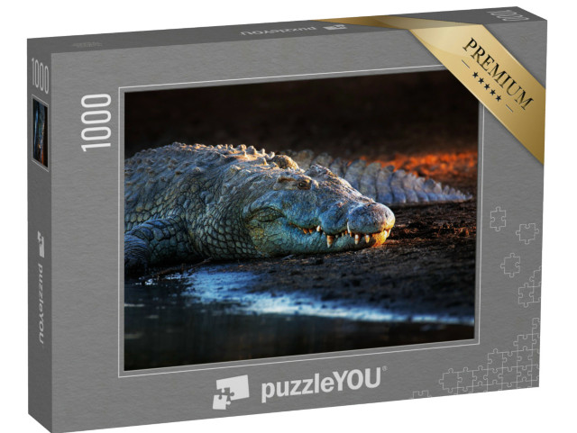 Puzzel 1000 stukjes „Nijlkrokodil in het Krugerpark, Zuid-Afrika“
