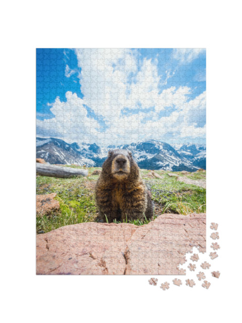Puzzel 1000 stukjes „Een nieuwsgierige marmot in Rocky Mountain National Park, Californië“
