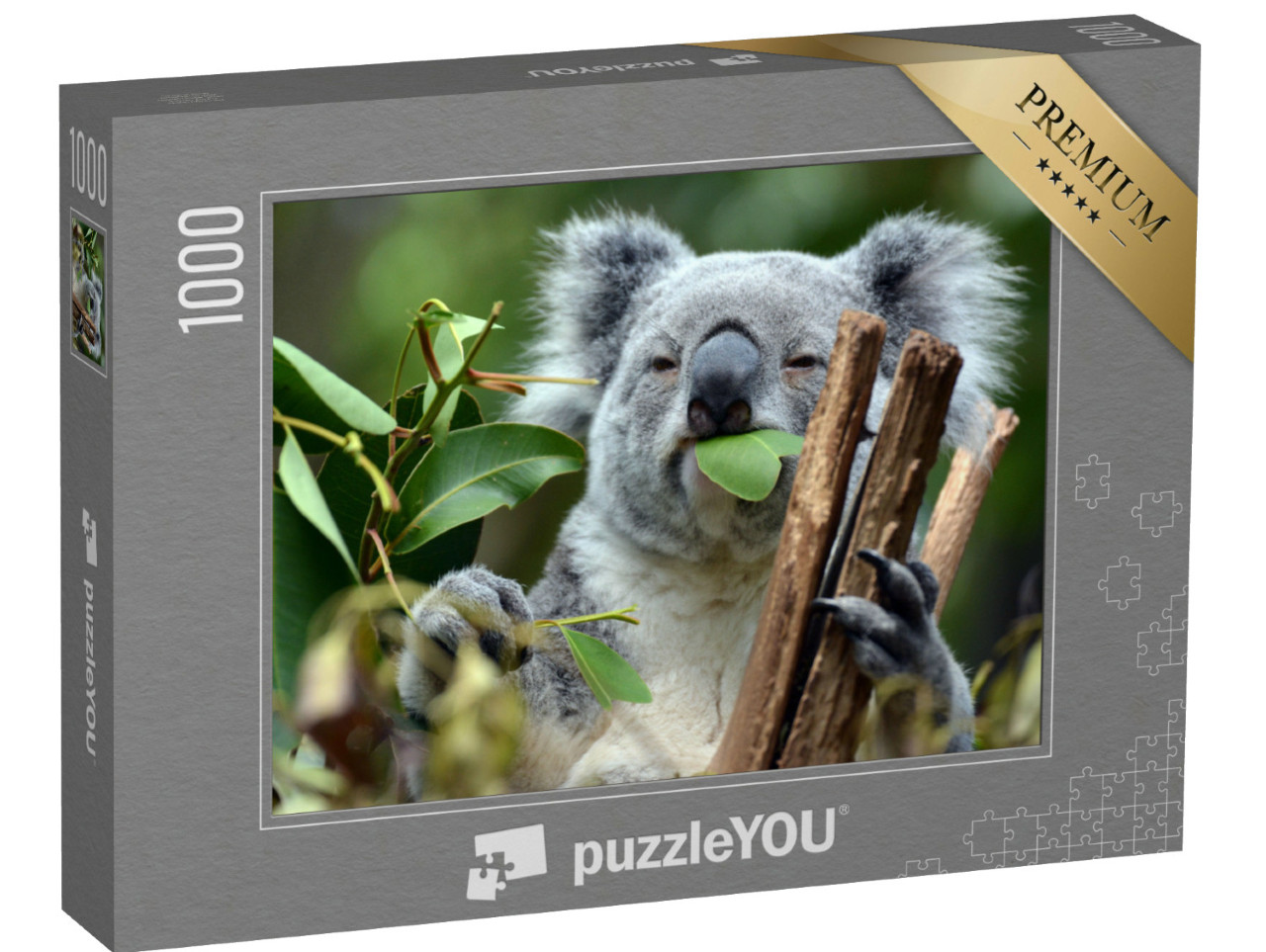 Puzzel 1000 stukjes „Koala in het Lone Pine Koala Reservaat in Brisbane“