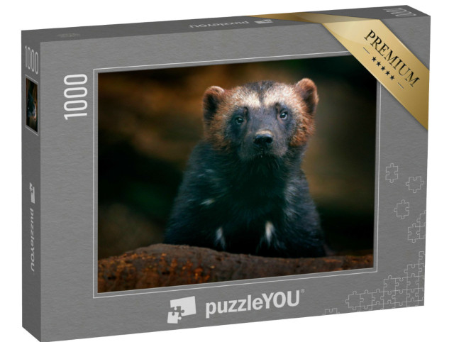Puzzel 1000 stukjes „Een veelvraat in de Finse taiga“
