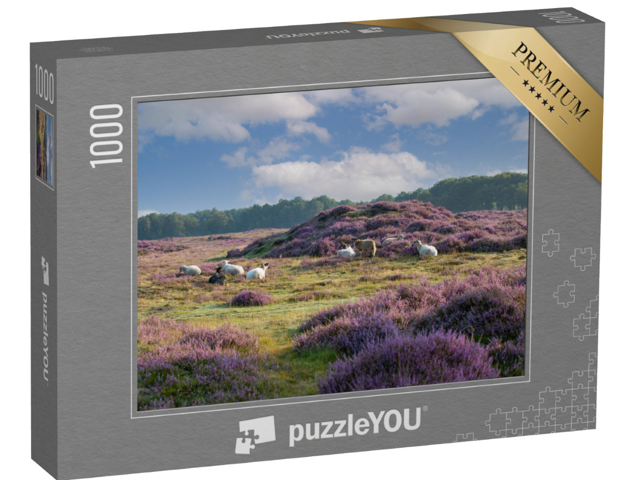 Puzzel 1000 stukjes „Gasterse Duinen bij het dorp Gasteren in de Nederlandse provincie Drenthe“