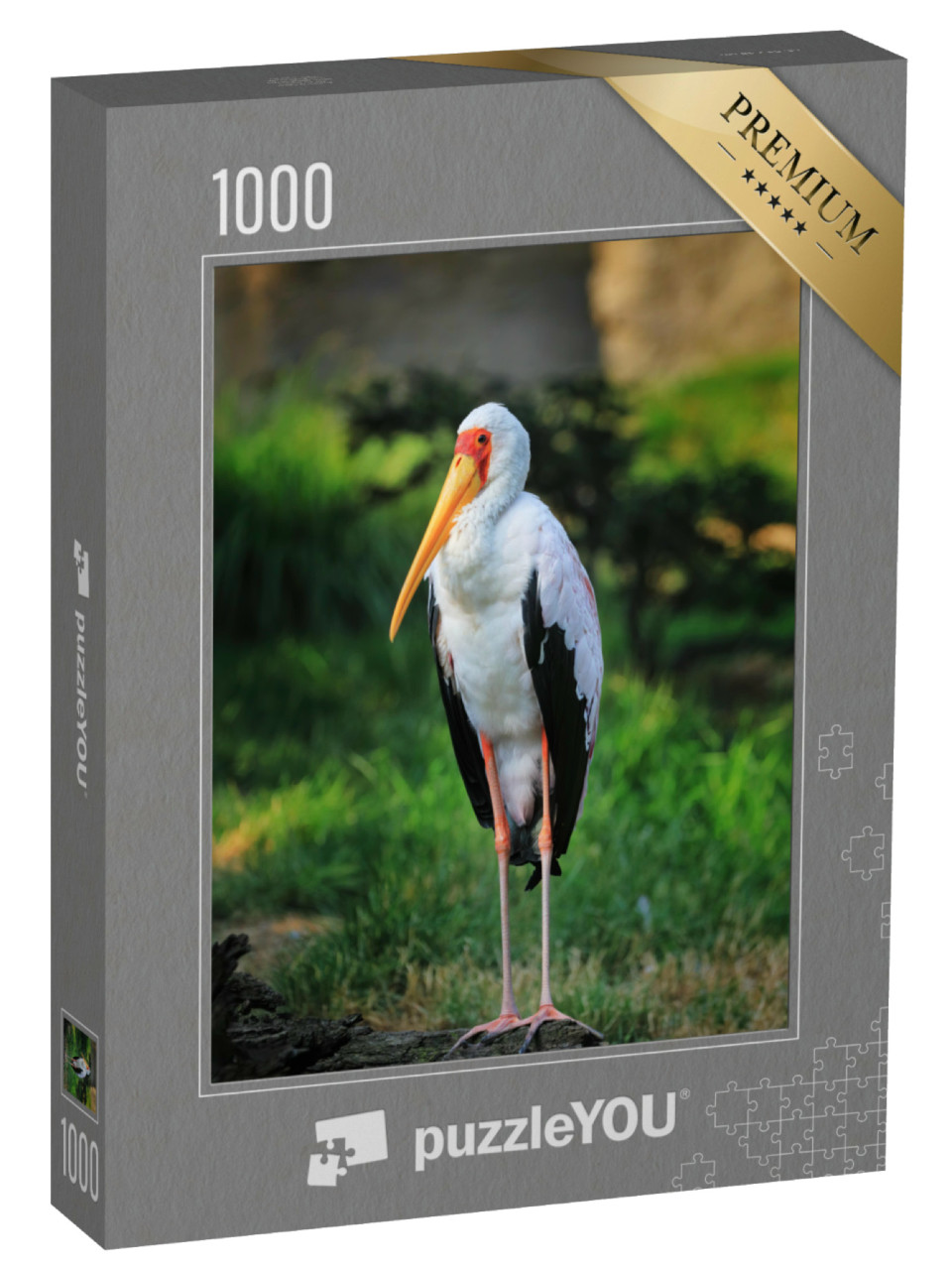 Puzzel 1000 stukjes „Afrikaanse geelsnavel ooievaar op een oude boomstam“