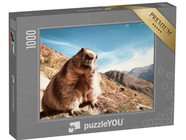 Puzzel 1000 stukjes „Marmot met een vragende blik“