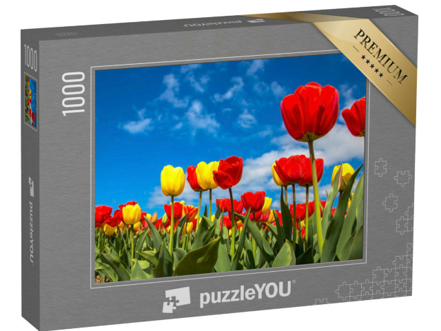 Puzzel 1000 stukjes „Kleurrijke tulpenvelden in de lente met een blauwe lucht“