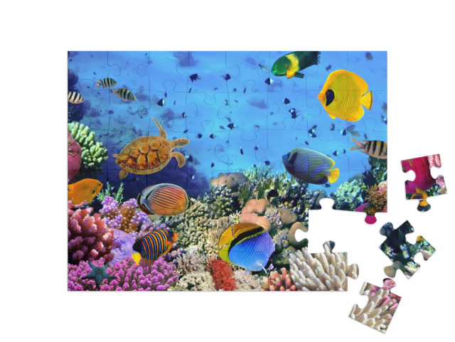 Puzzel 48 stukjes „Koraalkolonie in de Rode Zee, Egypte“