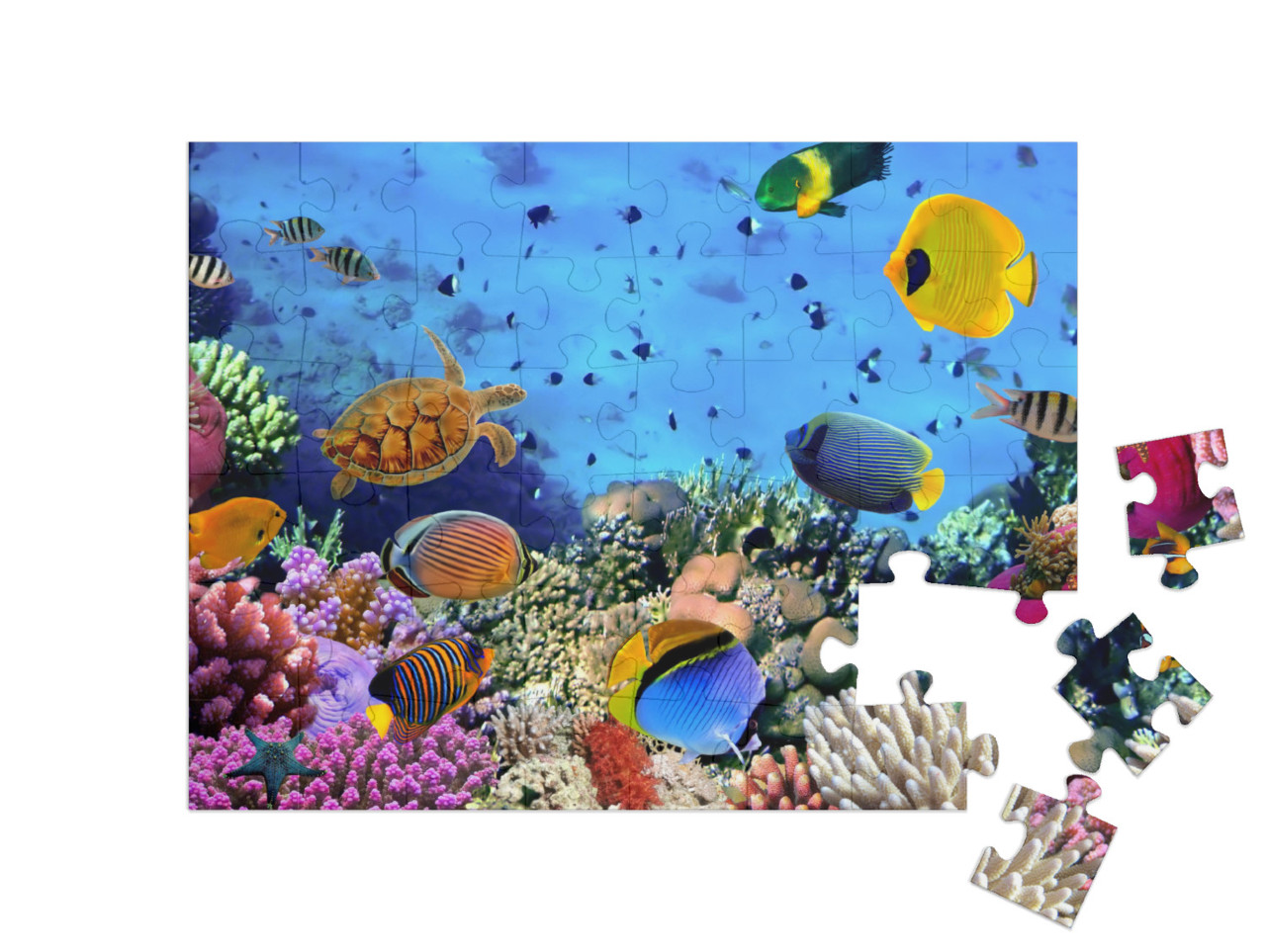 Puzzel 48 stukjes „Koraalkolonie in de Rode Zee, Egypte“