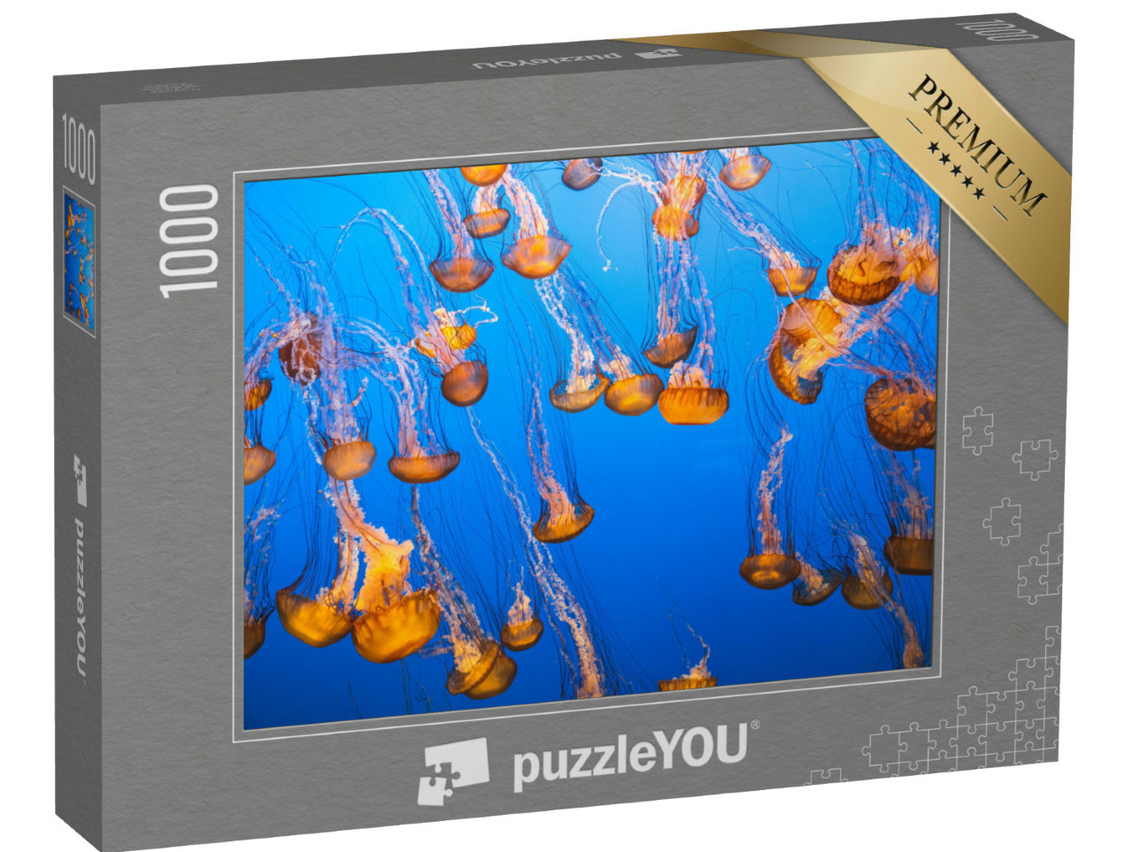 Puzzel 1000 stukjes „Een groep kwallen in het lichtdoorstroomde water“