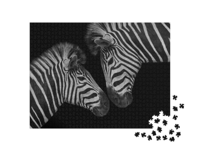 Puzzel 1000 stukjes „Jonge zebra en zijn moeder“