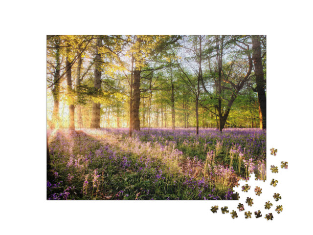 Puzzel 1000 stukjes „Bluebells in het bos bij zonsopgang“
