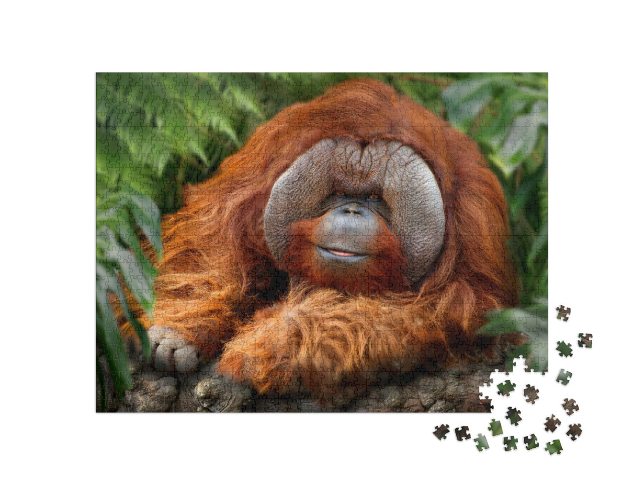 Puzzel 1000 stukjes „Tropisch regenwoud met orang-oetans“