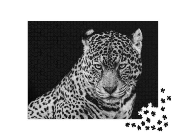 Puzzel 1000 stukjes „Jaguar“