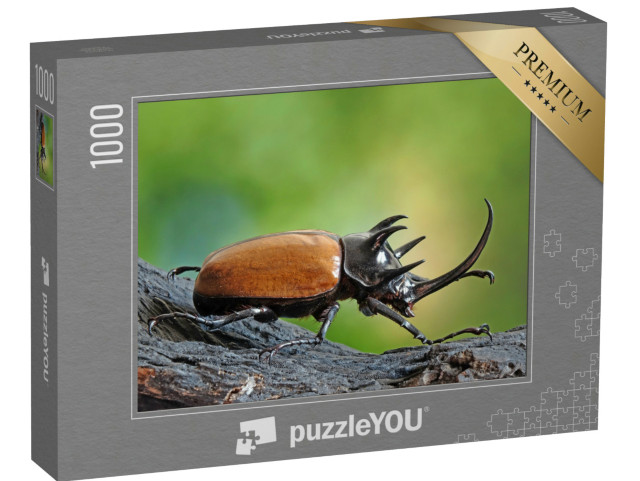 Puzzel 1000 stukjes „Vijfhoornige neushoornkever, ook bekend als Herculeskever“