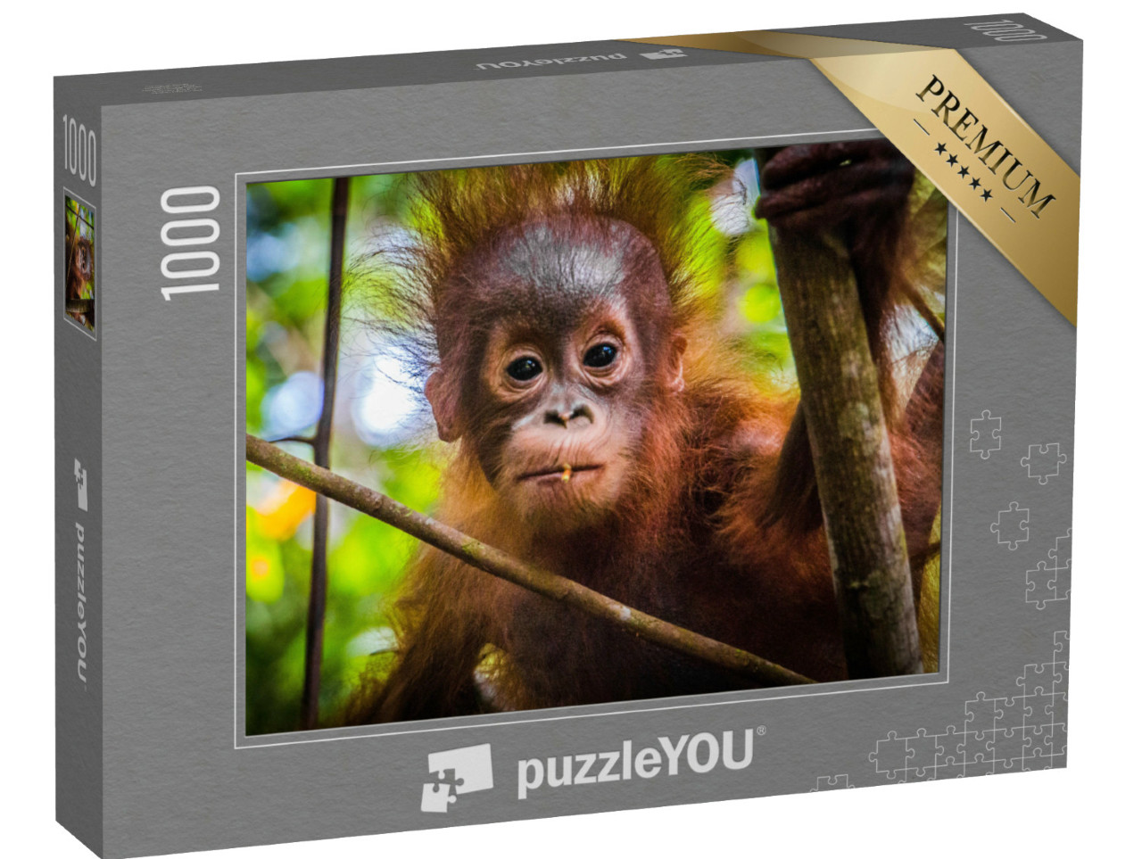 Puzzel 1000 stukjes „s Werelds schattigste orang-oetan baby kijkt in de camera in Borneo“