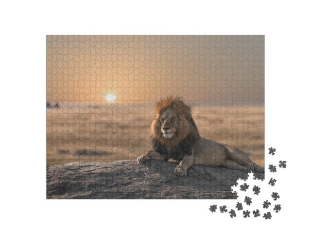 Puzzel 1000 stukjes „Majestueuze leeuw bij zonsondergang“