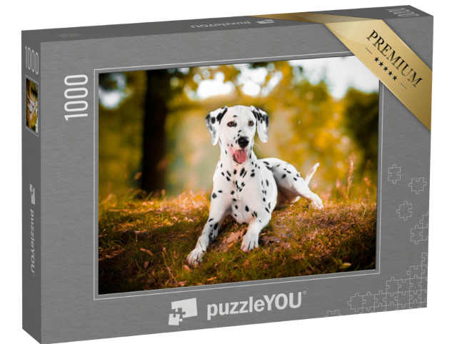 Puzzel 1000 stukjes „Dalmatiër in het gras“