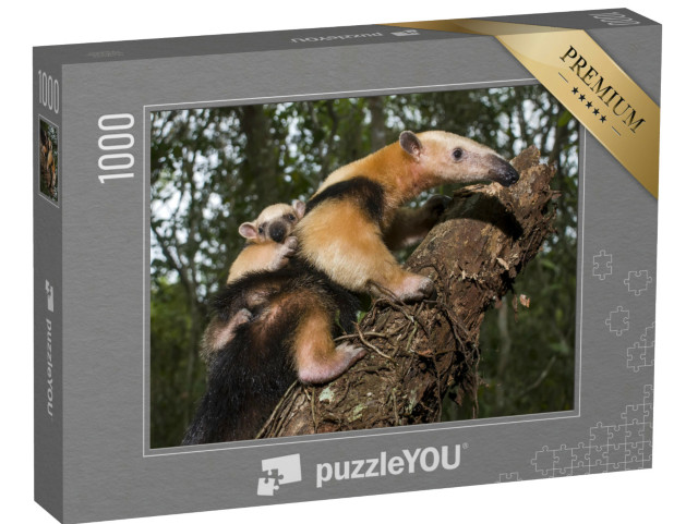 Puzzel 1000 stukjes „Zuidelijke Tamandua, Espírito Santo, Brazilië“