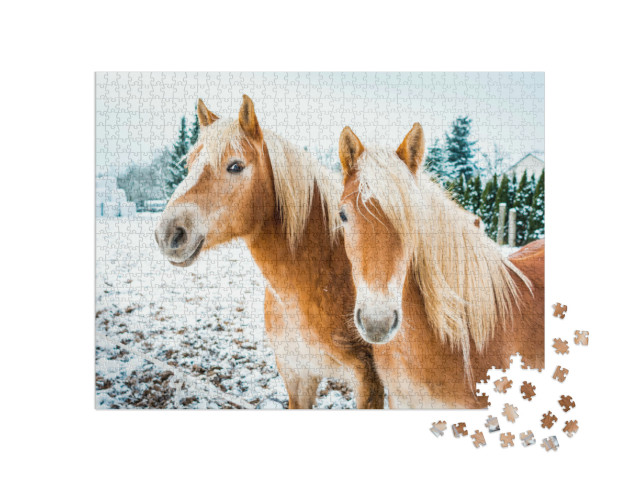 Puzzel 1000 stukjes „Haflinger paarden op een besneeuwde weide“