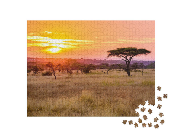 Puzzel 1000 stukjes „Zonsondergang in de Afrikaanse savanne met acaciabomen, Tanzania“